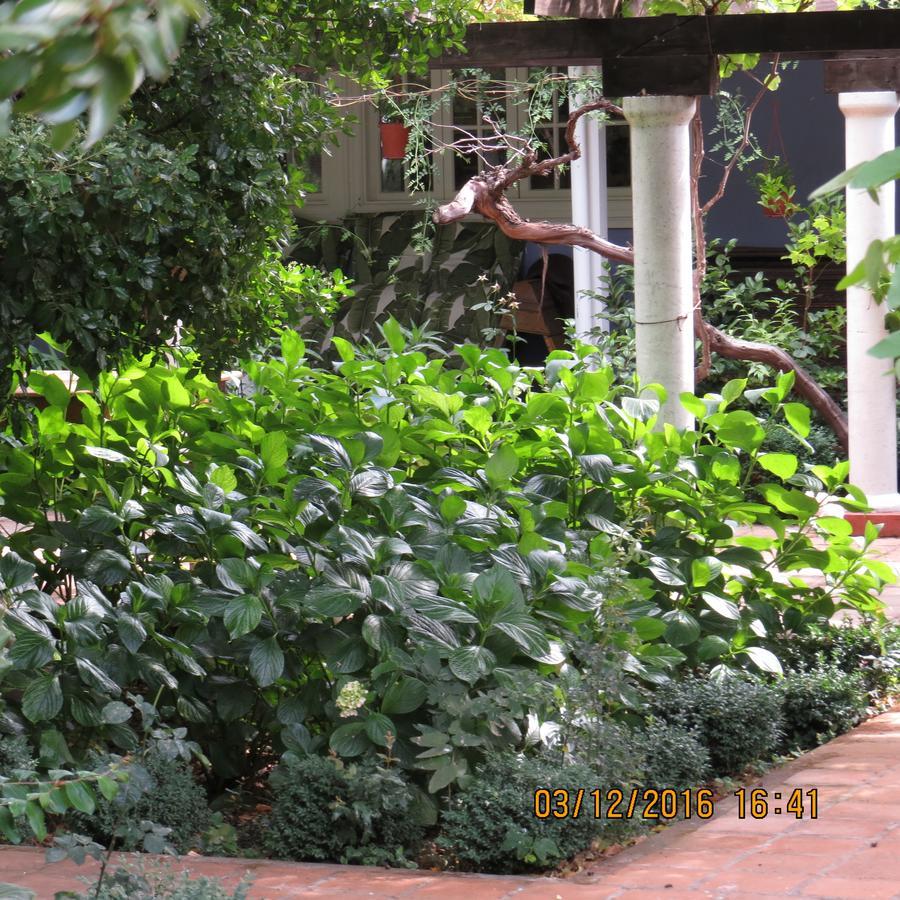 Hotel Boutique Quinta Maria Santa Cruz Dış mekan fotoğraf