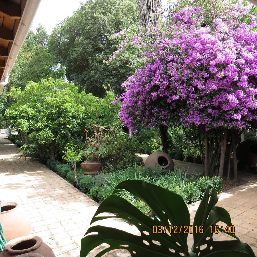 Hotel Boutique Quinta Maria Santa Cruz Dış mekan fotoğraf