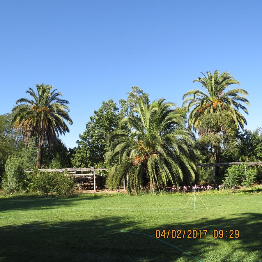 Hotel Boutique Quinta Maria Santa Cruz Dış mekan fotoğraf
