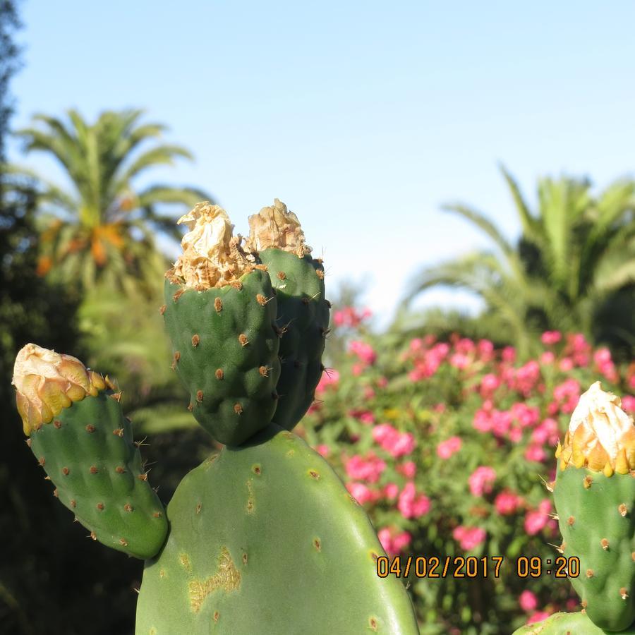 Hotel Boutique Quinta Maria Santa Cruz Dış mekan fotoğraf