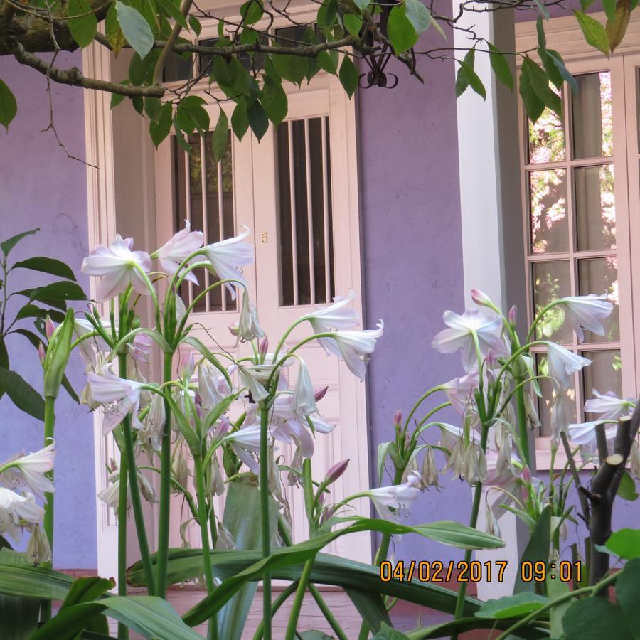 Hotel Boutique Quinta Maria Santa Cruz Dış mekan fotoğraf