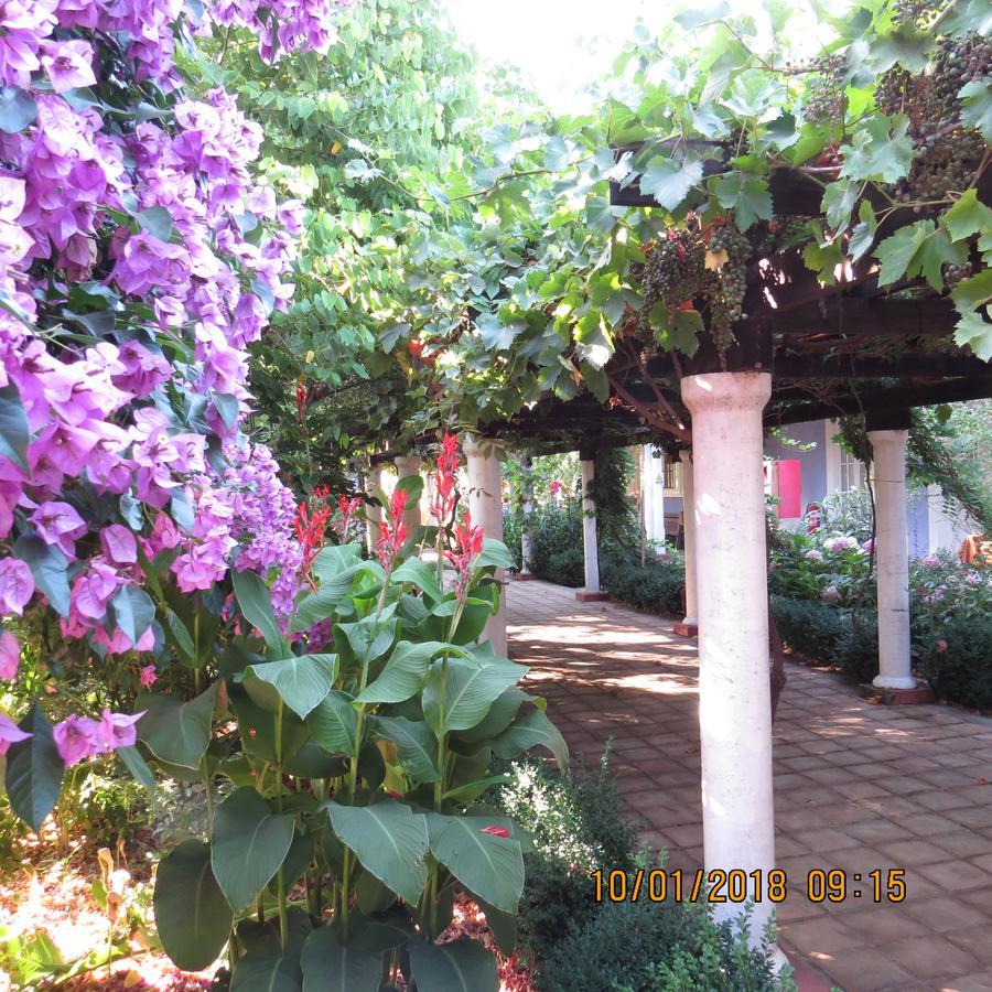 Hotel Boutique Quinta Maria Santa Cruz Dış mekan fotoğraf