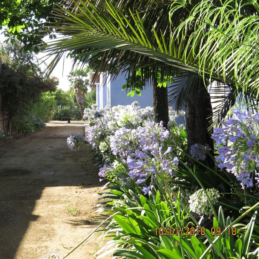 Hotel Boutique Quinta Maria Santa Cruz Dış mekan fotoğraf