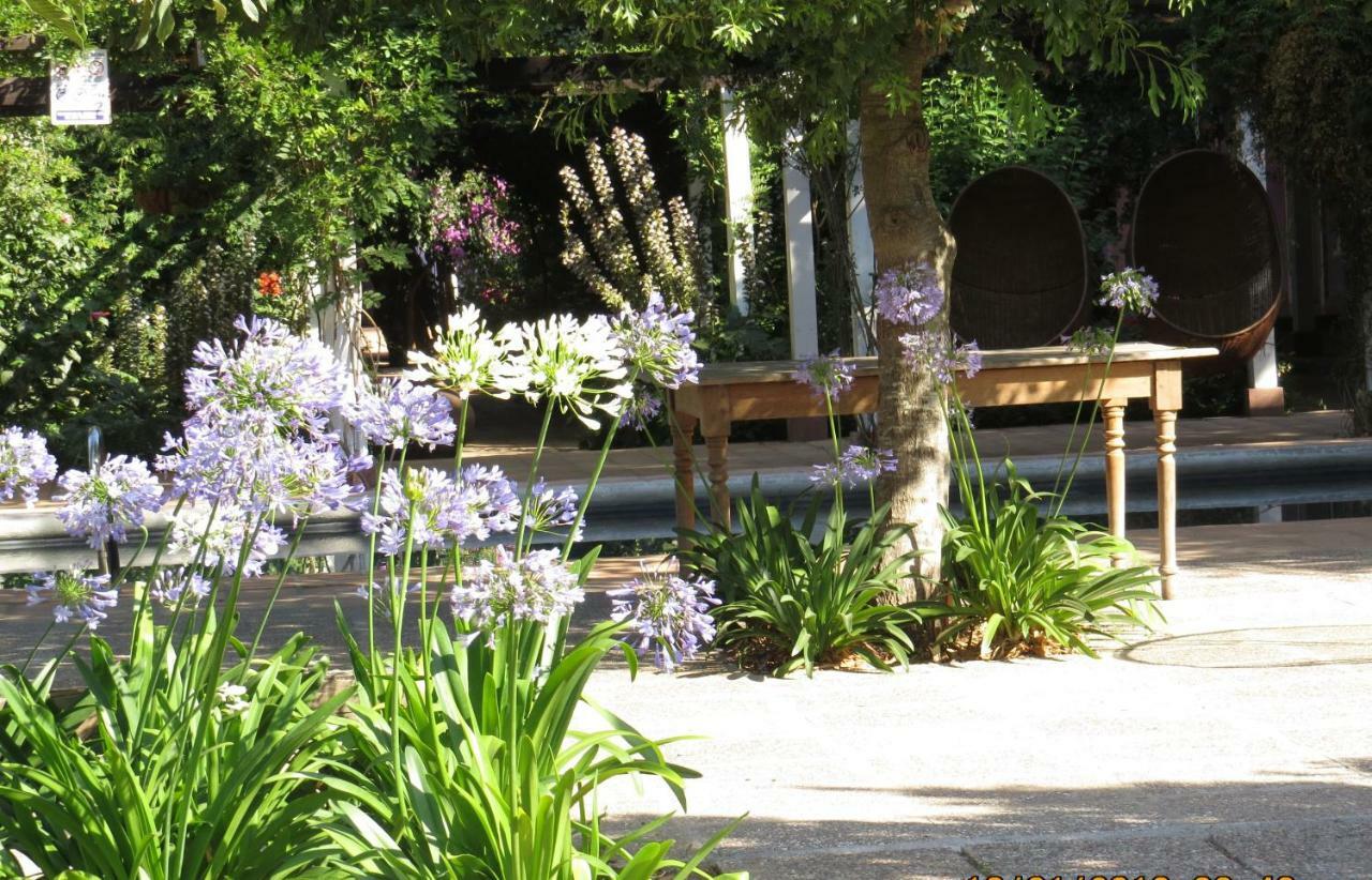 Hotel Boutique Quinta Maria Santa Cruz Dış mekan fotoğraf