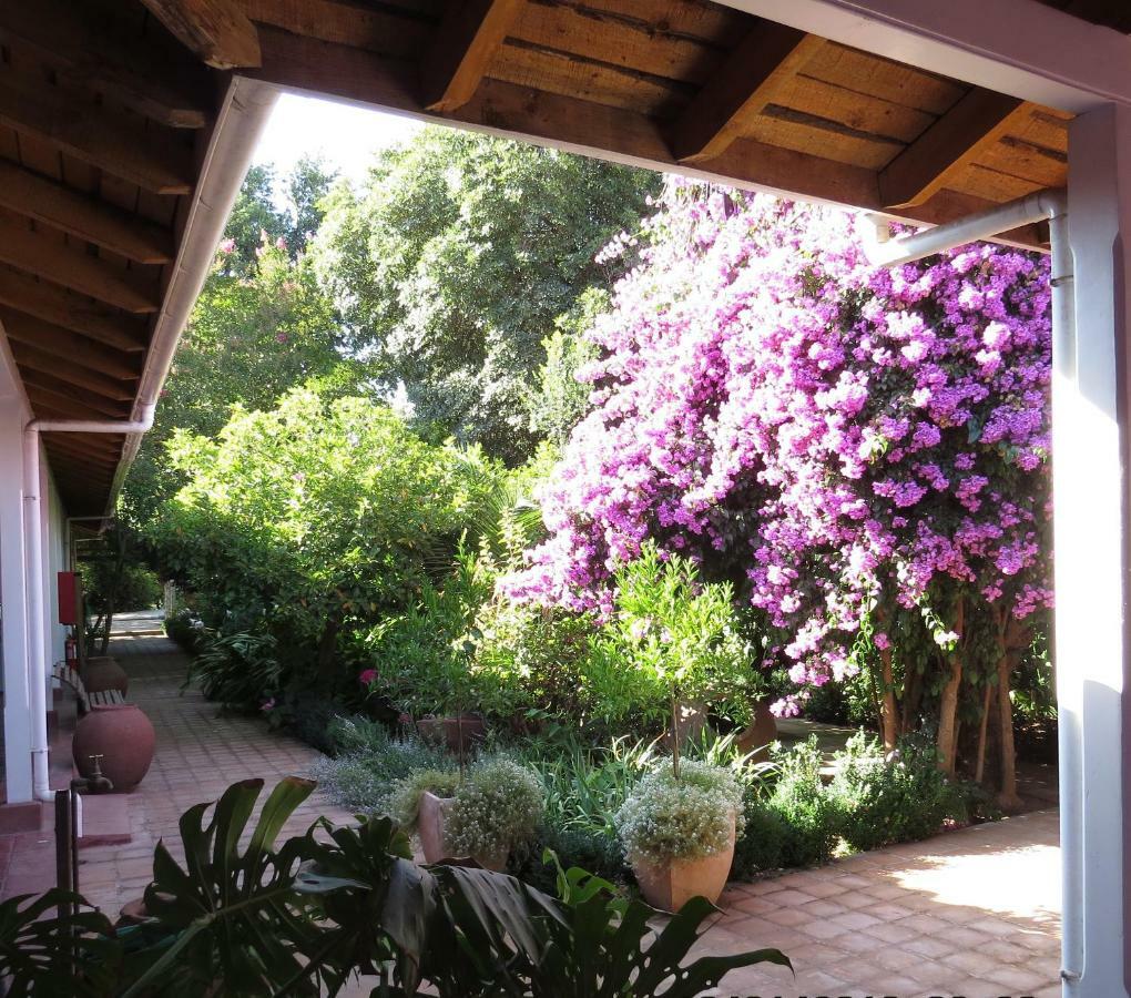 Hotel Boutique Quinta Maria Santa Cruz Dış mekan fotoğraf