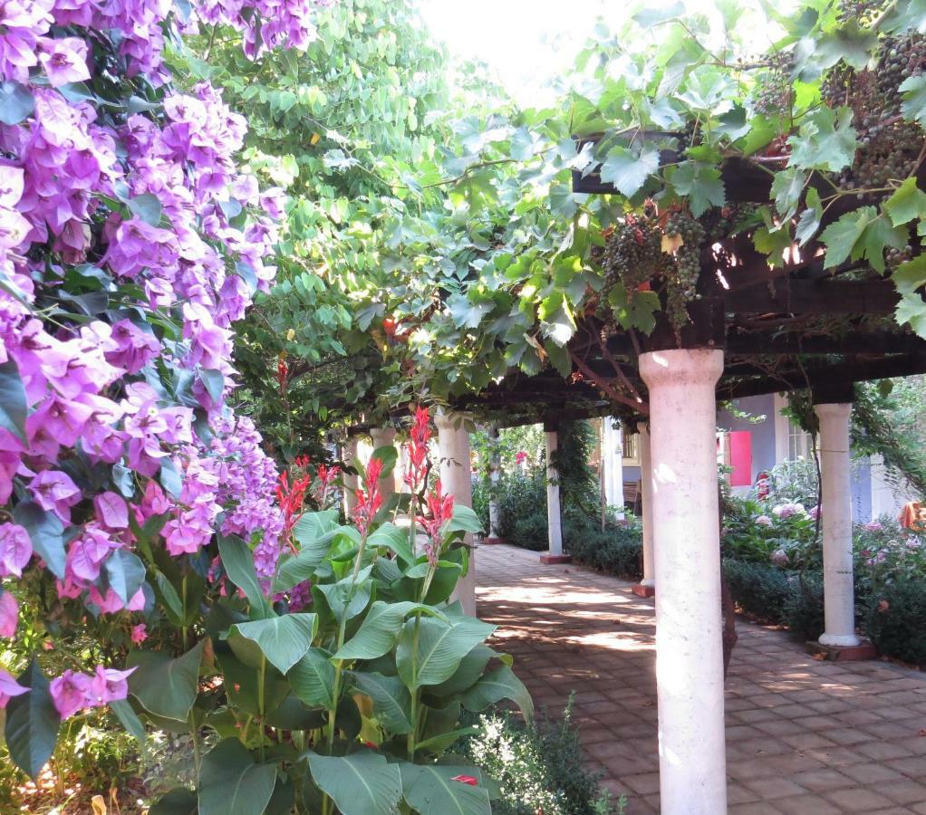 Hotel Boutique Quinta Maria Santa Cruz Dış mekan fotoğraf