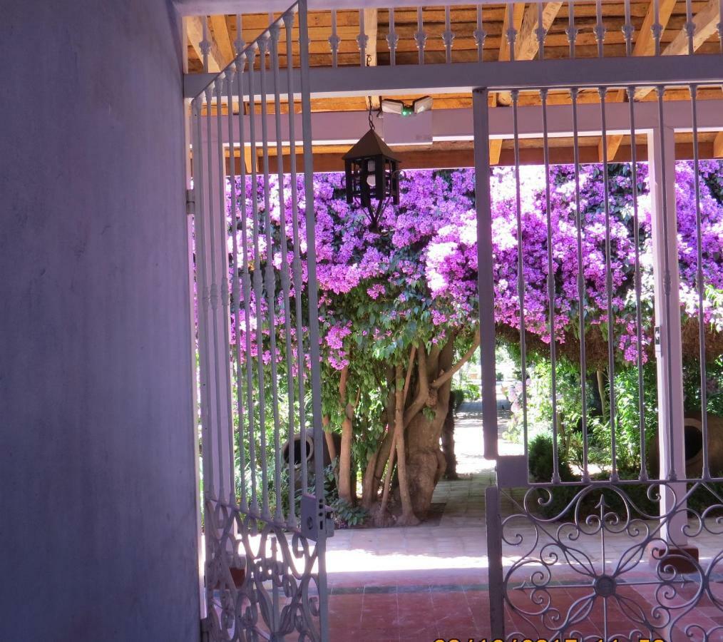 Hotel Boutique Quinta Maria Santa Cruz Dış mekan fotoğraf